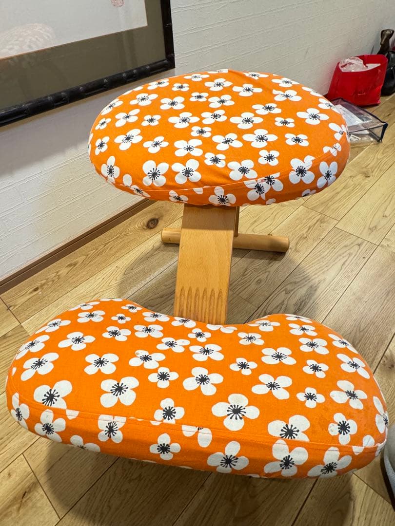 【美品】Rybo Balans EASY バランスチェア 金ロゴ カバー付