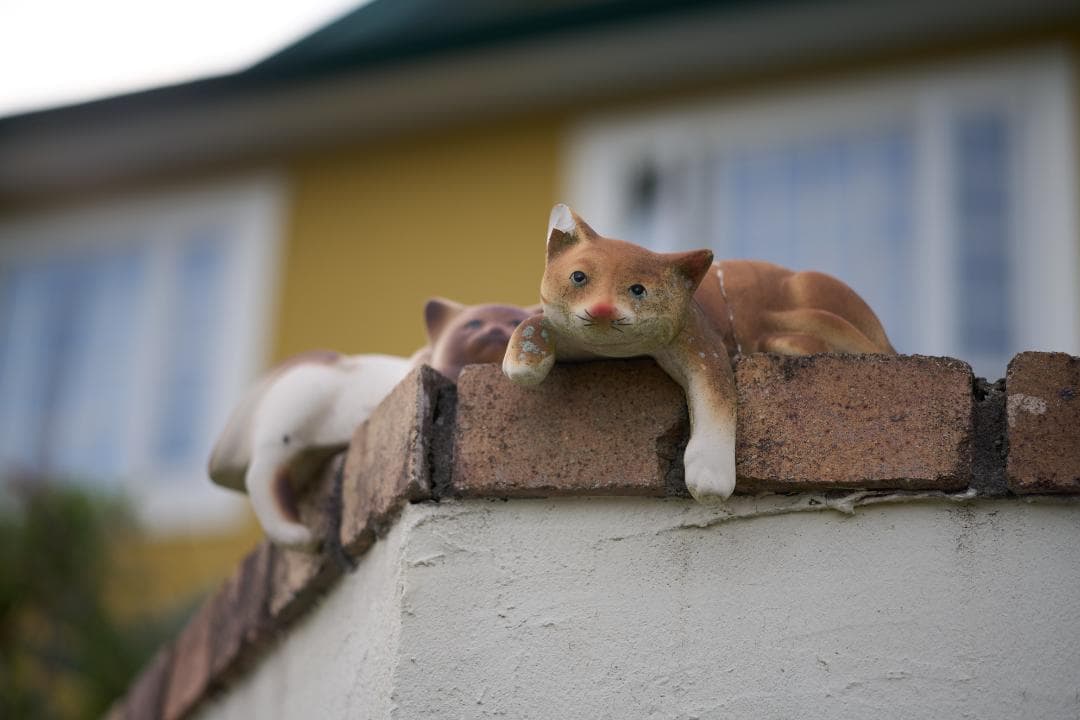 Nikon Ai AF-NIKKOR 80mm F2.8 / F3AF用