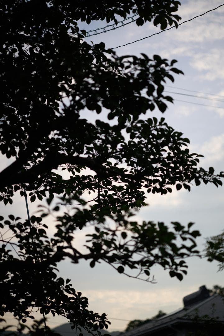 Nikon Ai AF-NIKKOR 80mm F2.8 / F3AF用