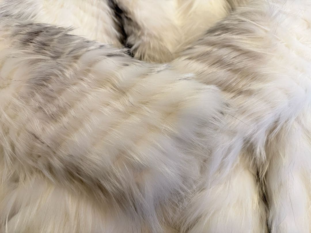 最高級 毛皮 SAGA FOX(サガフォックス)