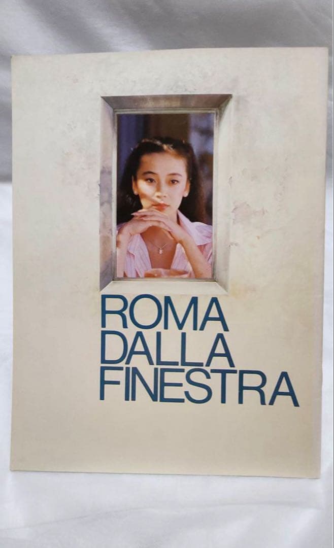 美品 レア品 窓からローマが見える セル版 DVD パンフレット付