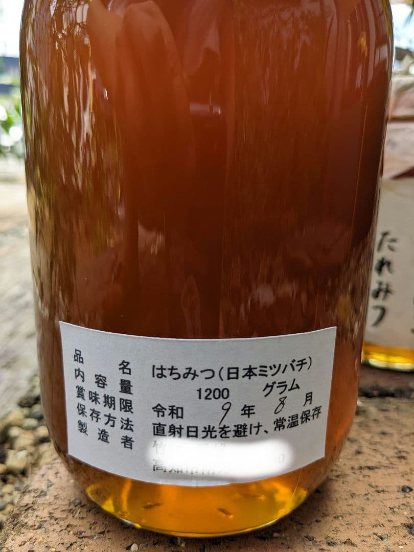 日本ミツバチ 蜂蜜 令和7年 採れたて 600g×2本 たれ蜜 非加熱