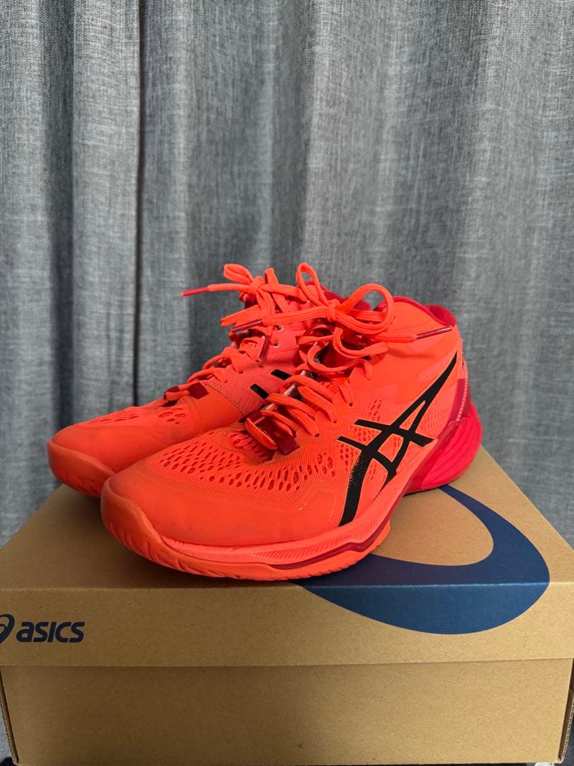 【限定】アシックス バレーボールシューズ
