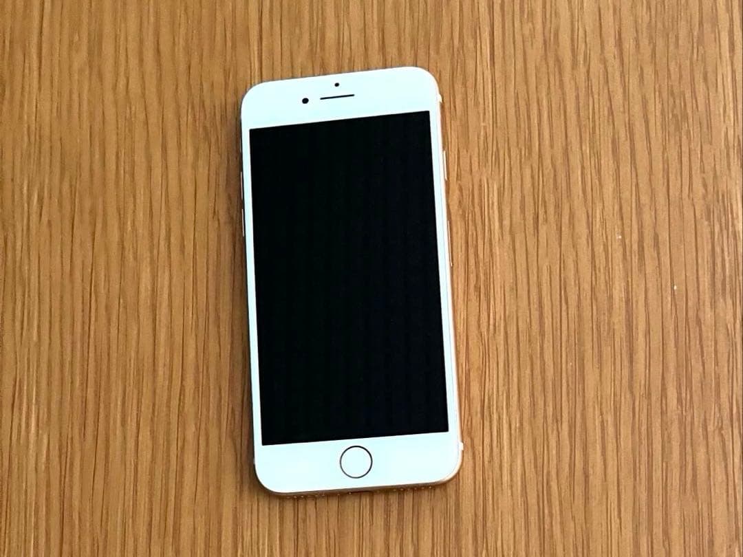 Apple iPhone ホワイト 本体