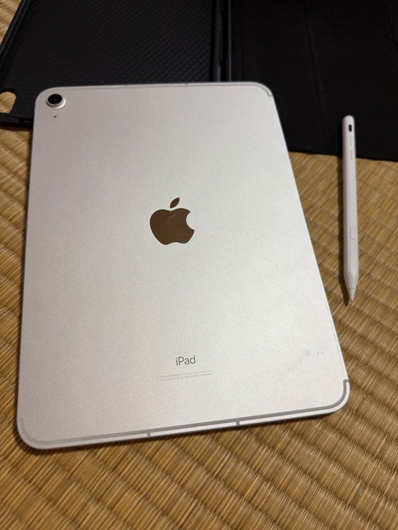iPad (第10世代)セルラー シルバー