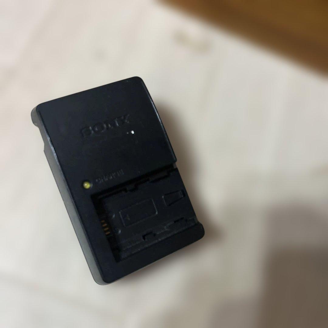 SONY HDビデオカメラレコーダー ブラック VG10 NEX-VG10