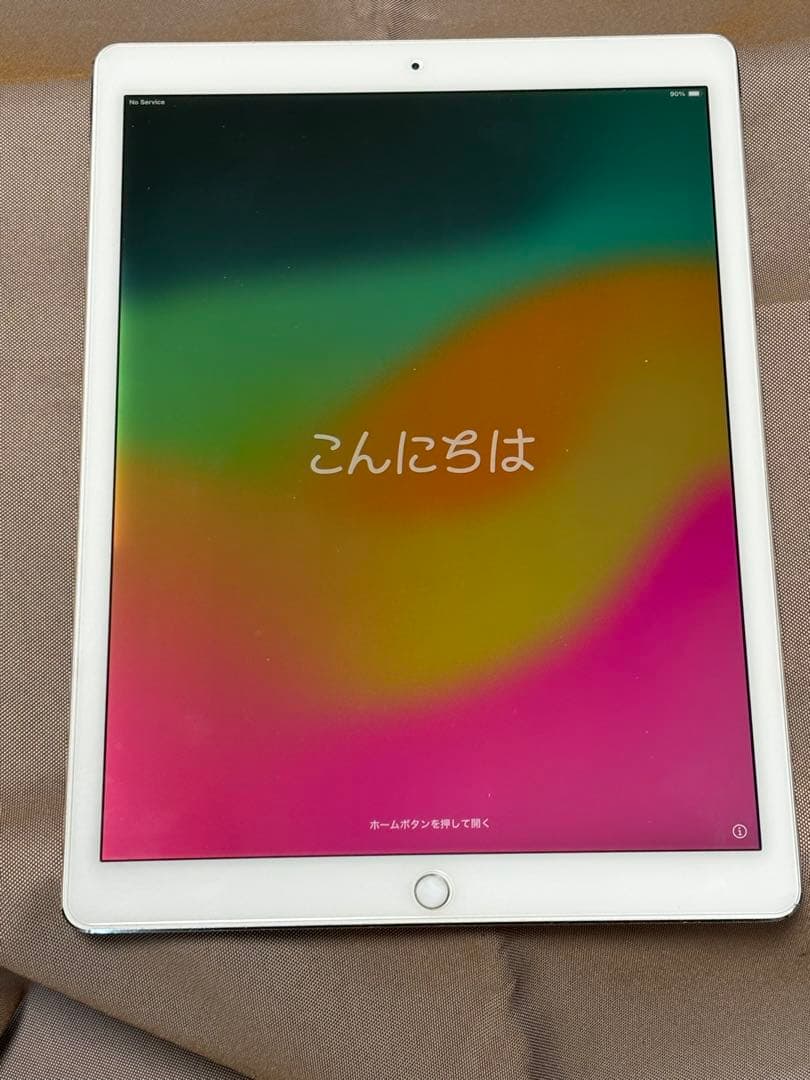 iPad 256GB 12.9インチ 第二世代 Apple Pencil付き