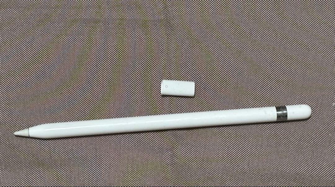 iPad 256GB 12.9インチ 第二世代 Apple Pencil付き