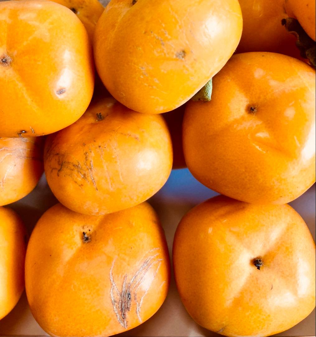 ベビーパーシモン　訳あり　5キロ