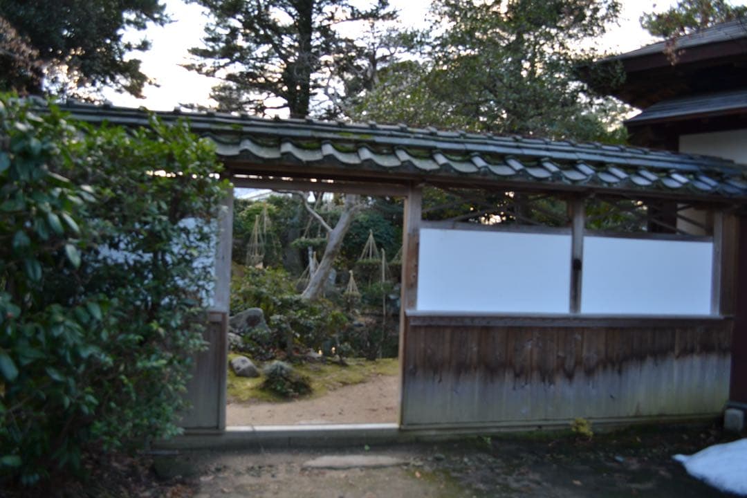 ✨新品級✨Nikon D3500✨高画質高性能モデル✨一眼レフデビュー✨作例あり