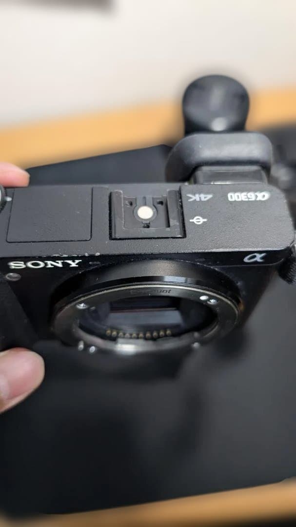 ひ*り様 SONY α6300 デジタル一眼レフカメラ レンズ18-105mm