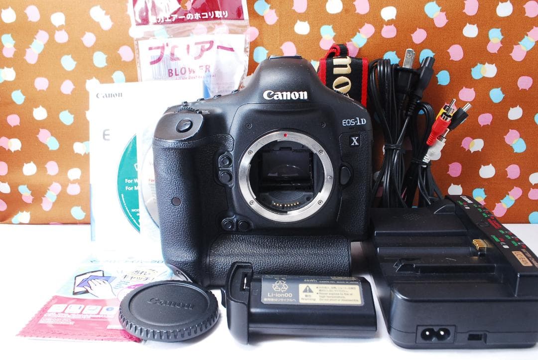 ✨元箱付き✨付属品充実✨Canon EOS-1DX ボディ