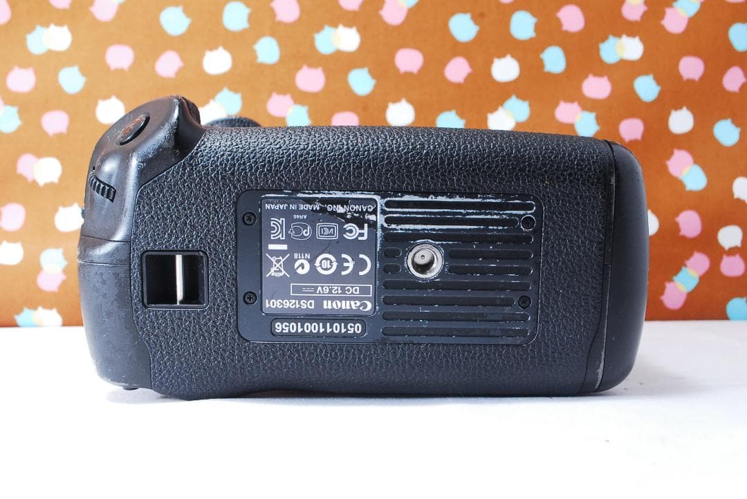 ✨元箱付き✨付属品充実✨Canon EOS-1DX ボディ