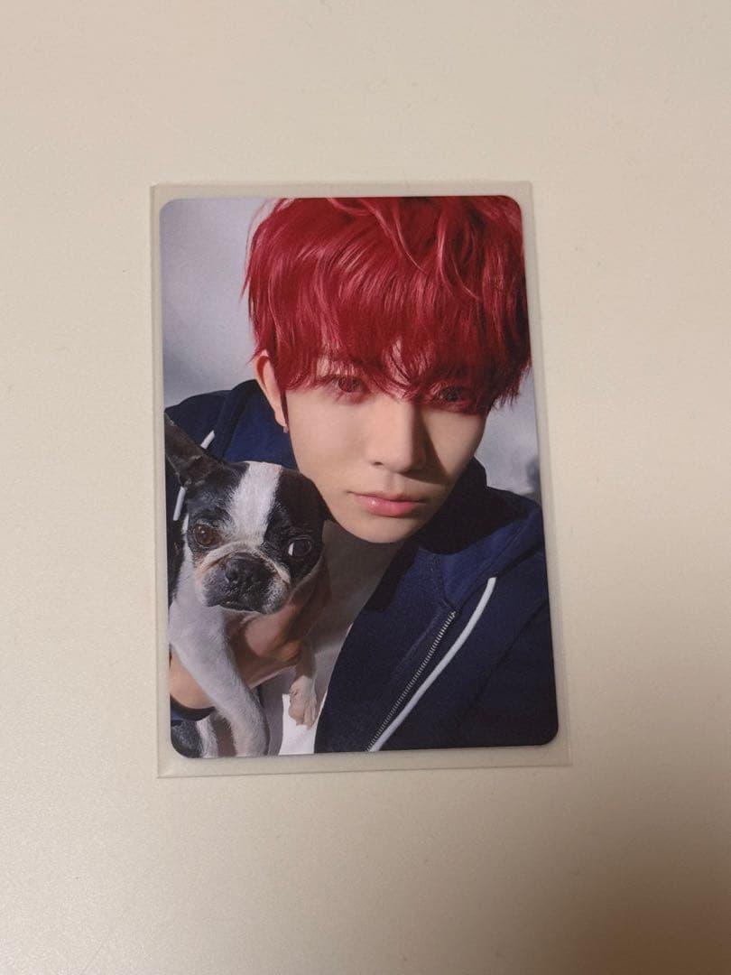 ENHYPEN アンケートトレカ　2025 HEESEUNG ヒスン