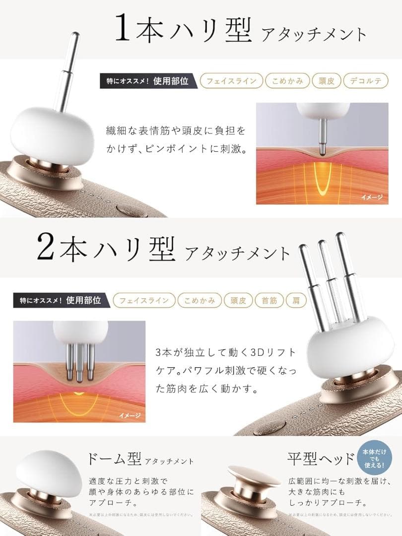 【新発売 フェイスポイントガン】NIPLUX BEGUN 美顔器