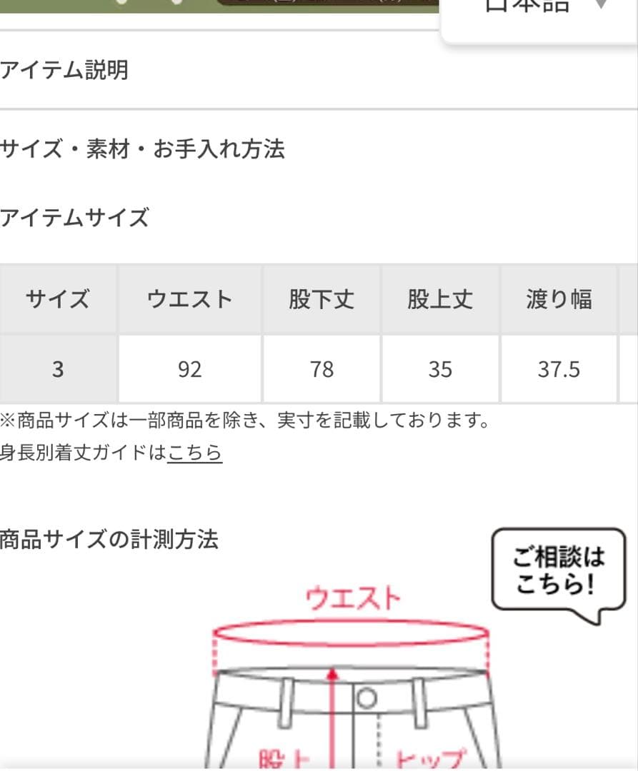 comoli COTTON DUCK PAINTER PANTS サイズ3