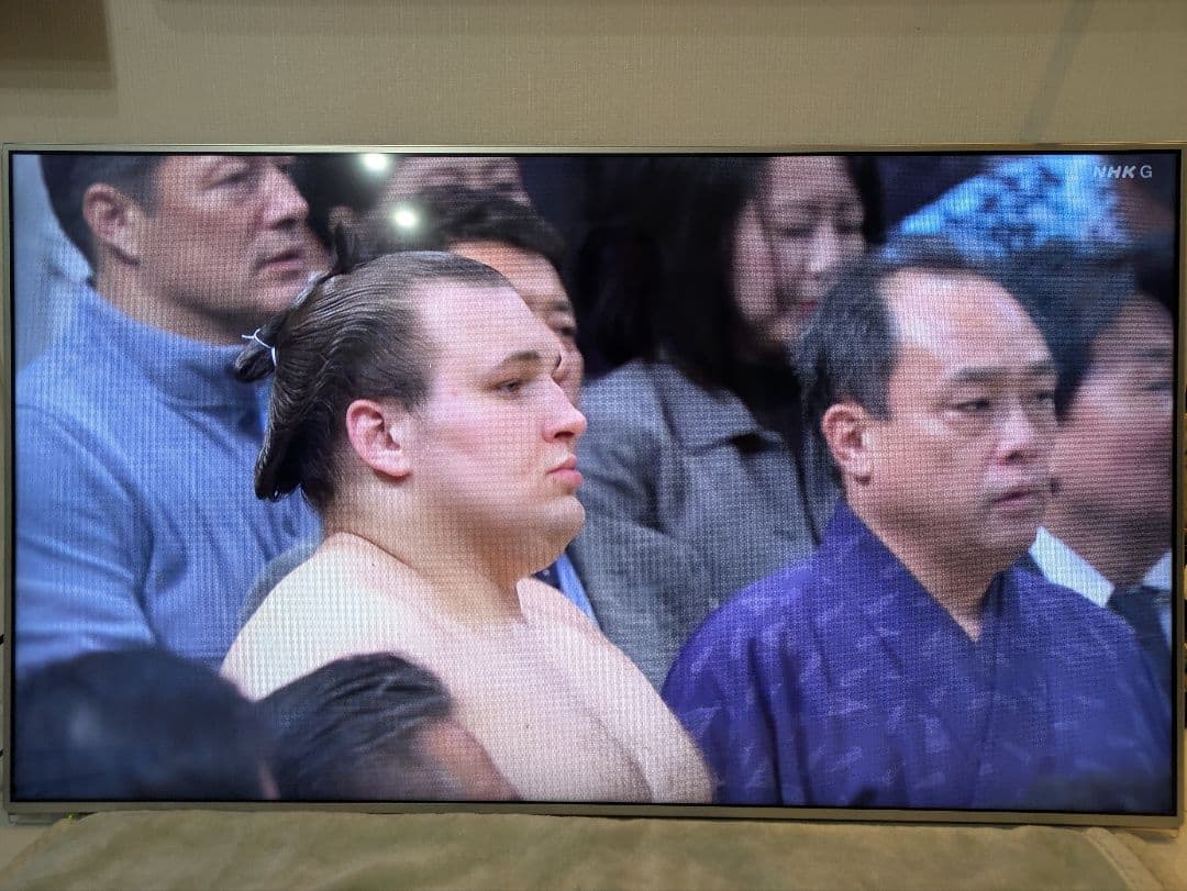 美品 送料込み フルHD Panasonic TH-L50E60 50インチ液晶