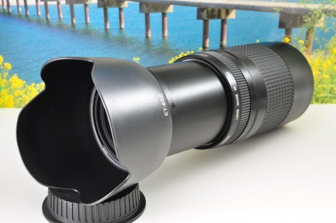 望遠はここから！ Canon キヤノン 望遠レンズ EF75-300mm
