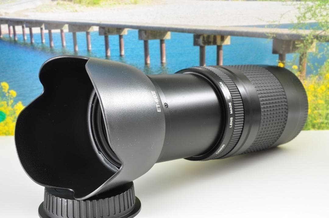 望遠はここから！ Canon キヤノン 望遠レンズ EF75-300mm