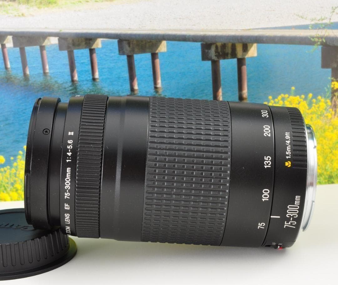 望遠はここから！ Canon キヤノン 望遠レンズ EF75-300mm