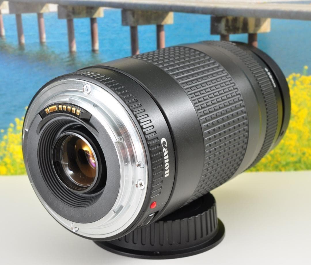 望遠はここから！ Canon キヤノン 望遠レンズ EF75-300mm