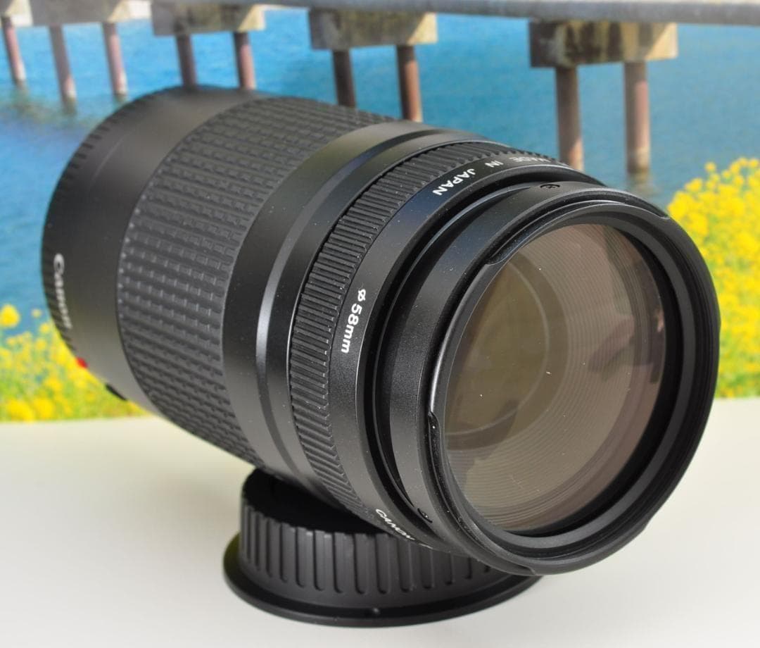 望遠はここから！ Canon キヤノン 望遠レンズ EF75-300mm