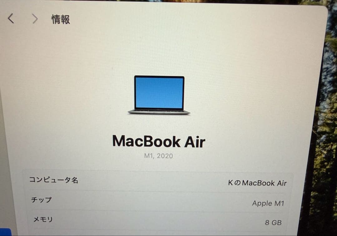 Apple MacBook Air M1 512GBスペースグレー スキンシール