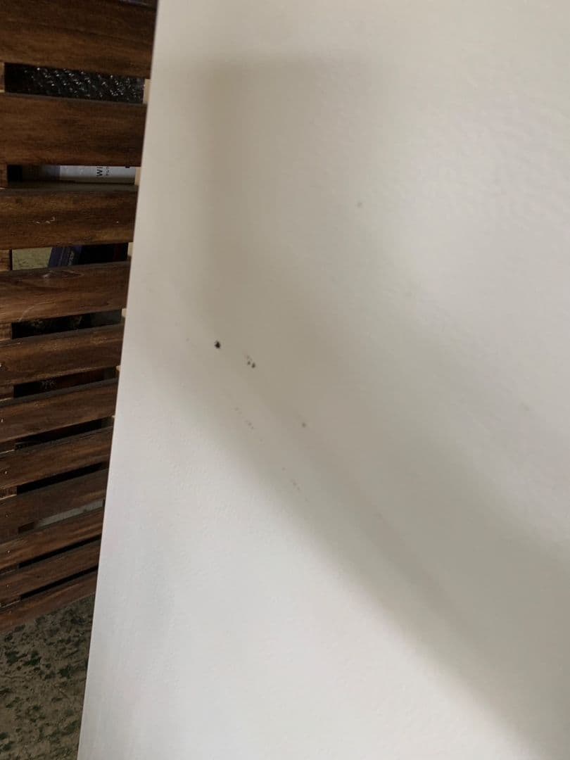 J290\" 国産メーカー 単身サイズ 家電セット 冷蔵庫/洗濯機