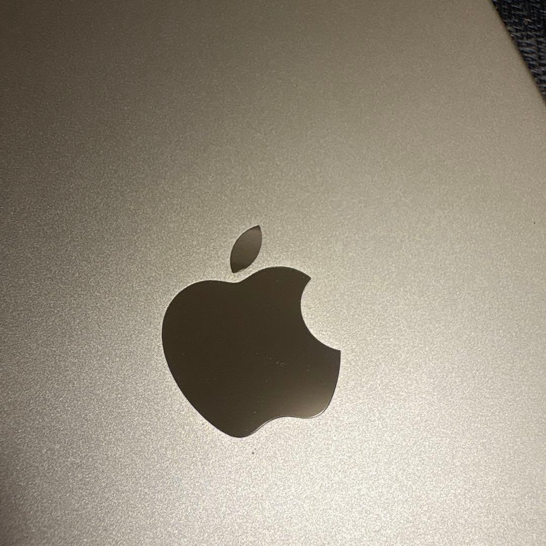 iPadPro9.7インチ WiFiモデル 128GB 外観比較的美品