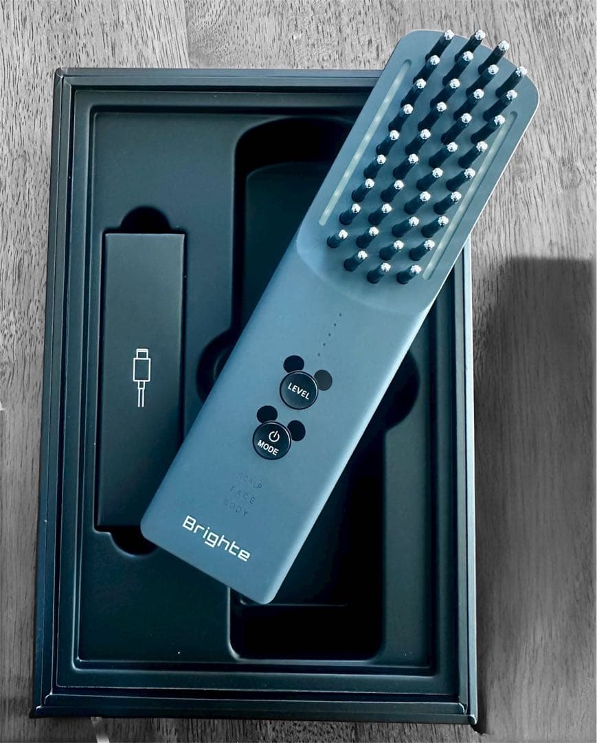 ヒ*コ様 Brighte ELEKI BRUSH+ ミッキーマウスデザイン