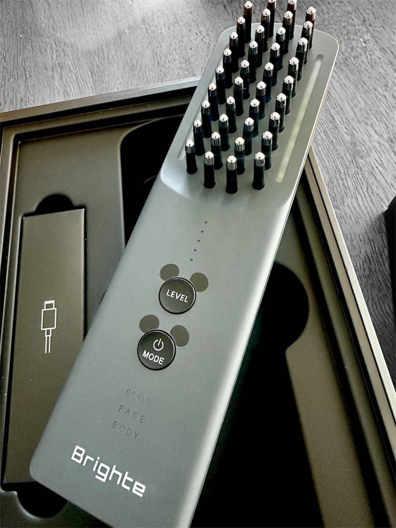 ヒ*コ様 Brighte ELEKI BRUSH+ ミッキーマウスデザイン