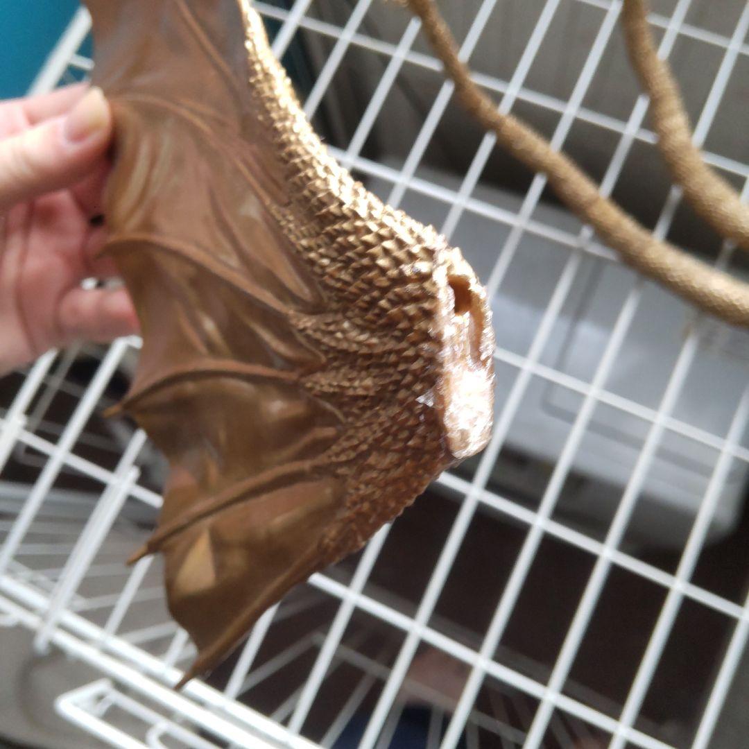 S.H.MonsterArtsキングギドラ