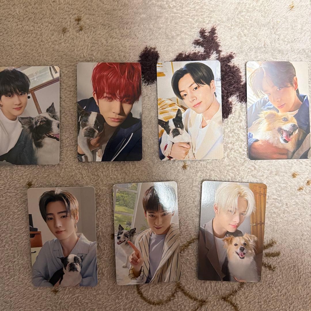 enhypen アンケートトレカ