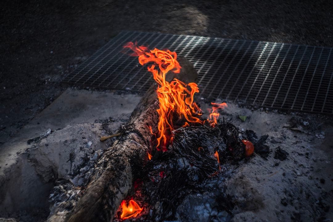 分解清掃済 Helios-44-2 58mm f2 ぐるぐるボケ 14