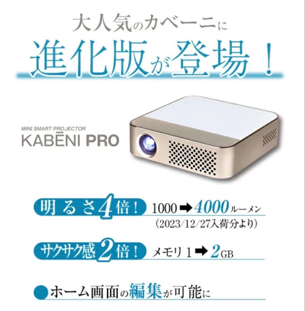 【極美品】 UENO-mono KABENI PRO カベーニPRO T90AQ