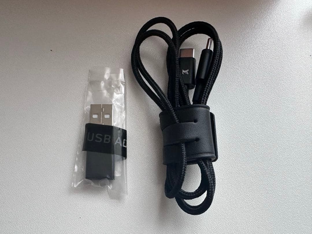 イヤホン Louis Vuitton Horizon Earphones