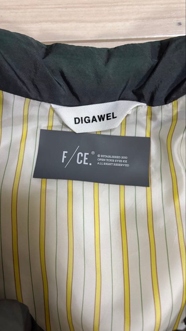 2月限定値下げ【訳アリ格安】F/CE×DIGAWEL ダウンジャケット L相当