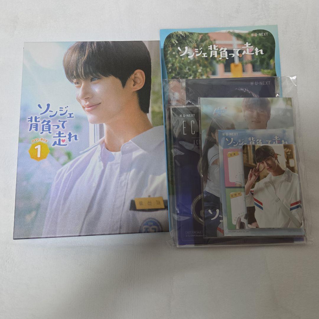 ソンジェ 背負って走れ DVDセット 1&2