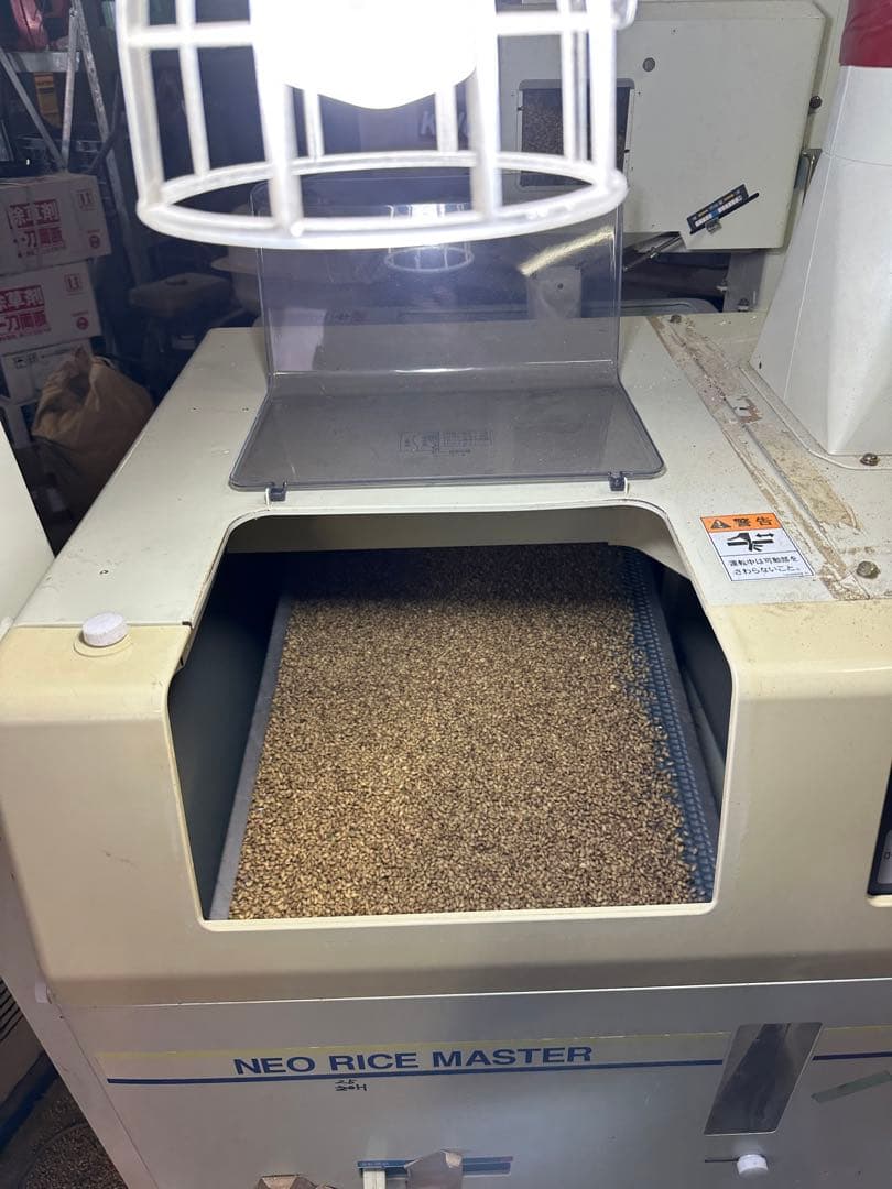 令和7年産！10kg 新麦　キラリモチ　もち麦　国産　雑穀　玄米　日本産　米代用