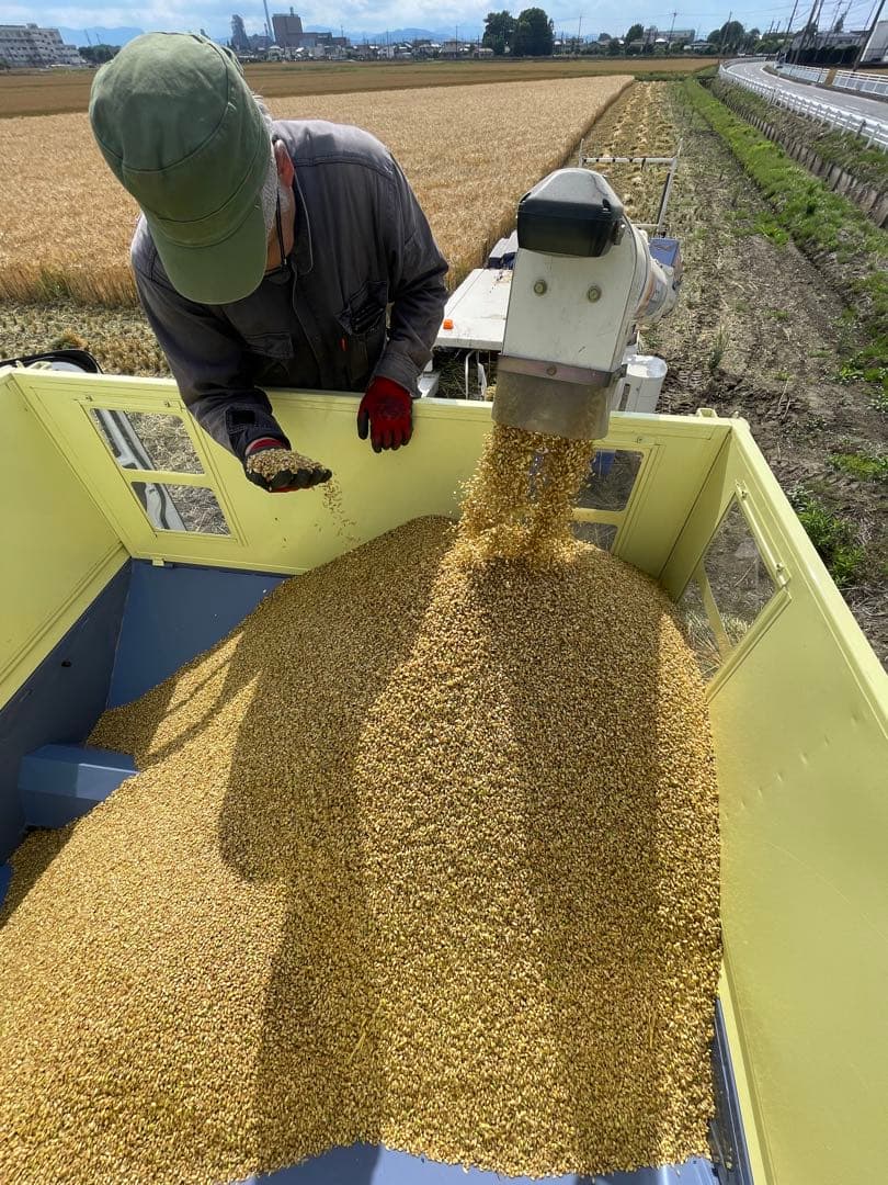 令和7年産！10kg 新麦　キラリモチ　もち麦　国産　雑穀　玄米　日本産　米代用