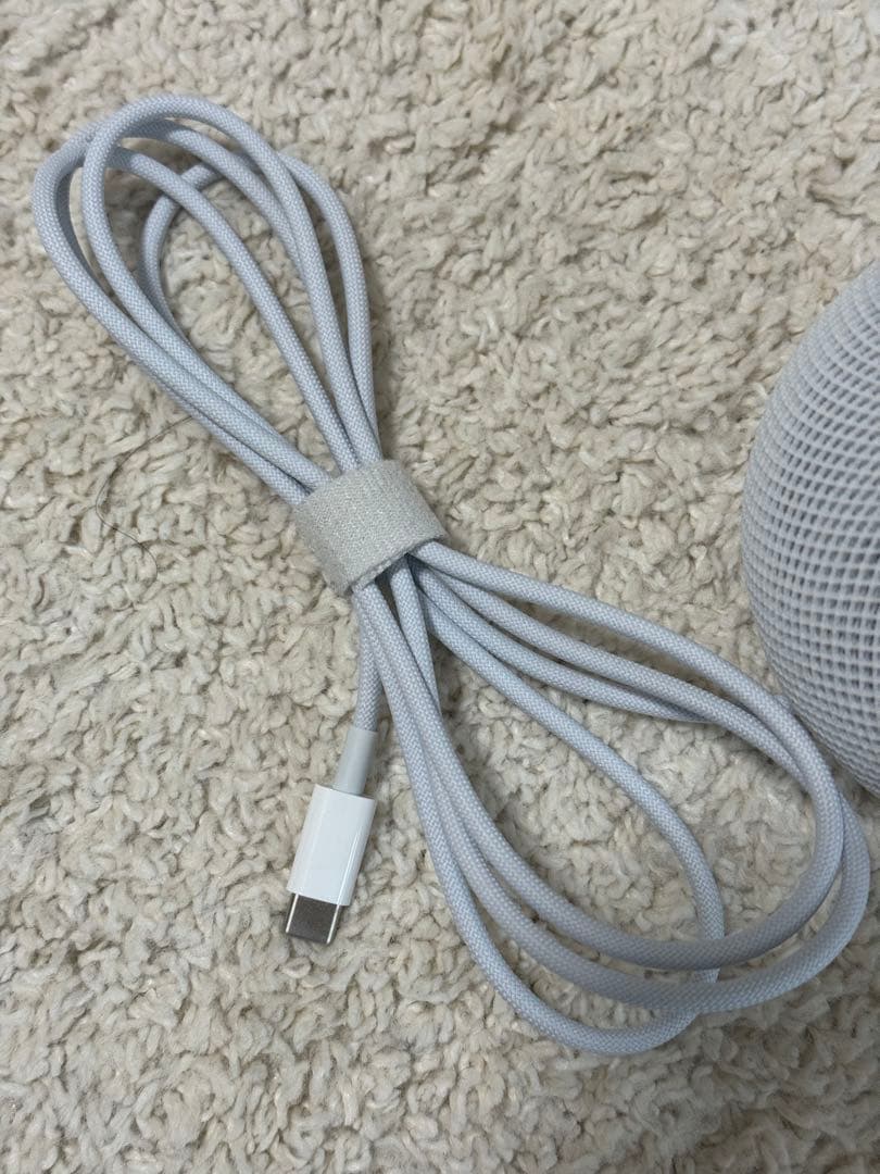 Apple pod mini アダプター付き