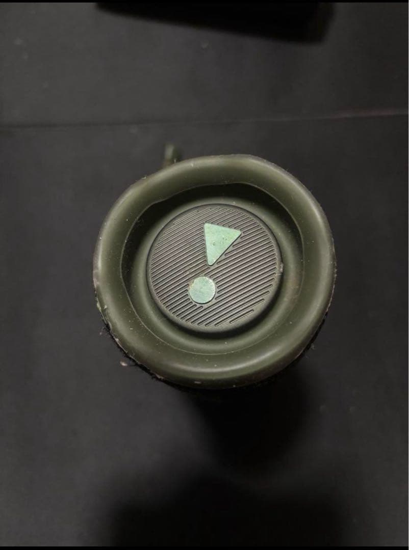 JBL FLIP6 迷彩スピーカー 本体