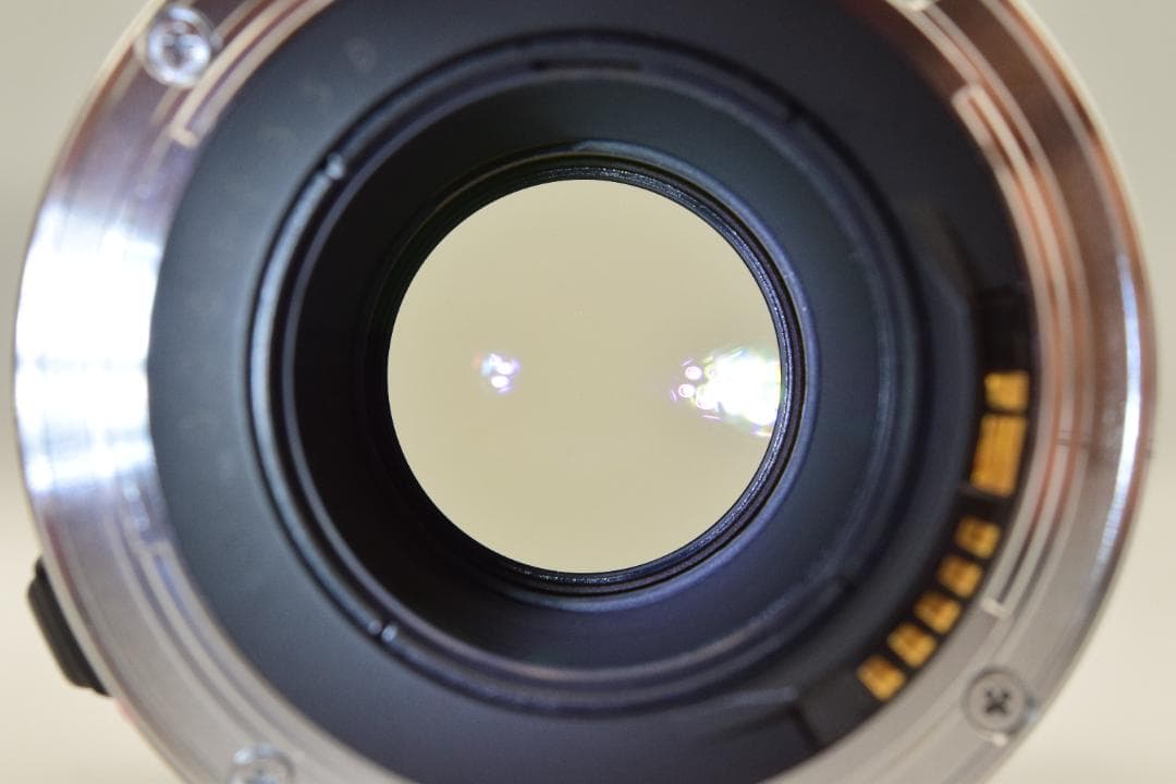 【美品】Canon EF 100mm F2.8 MACRO #CL034
