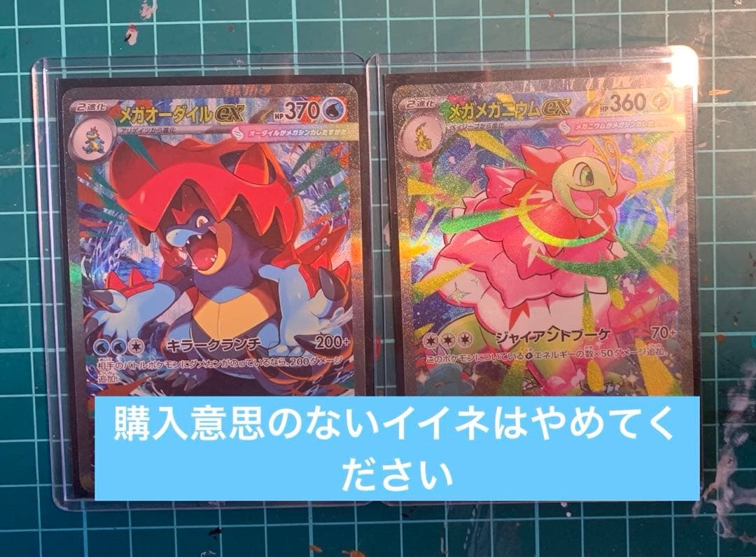 1/6まで　メガオーダイル　メガメガニウム ex sar セット　おまけ付き