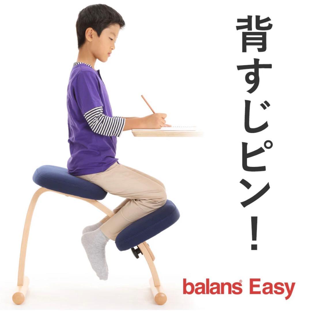 りん 様　Rybo リボ社 Balance Easy バランスイージー チェア