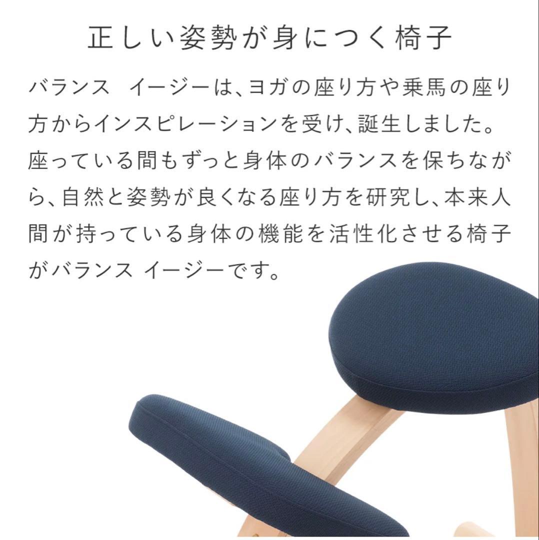 りん 様　Rybo リボ社 Balance Easy バランスイージー チェア