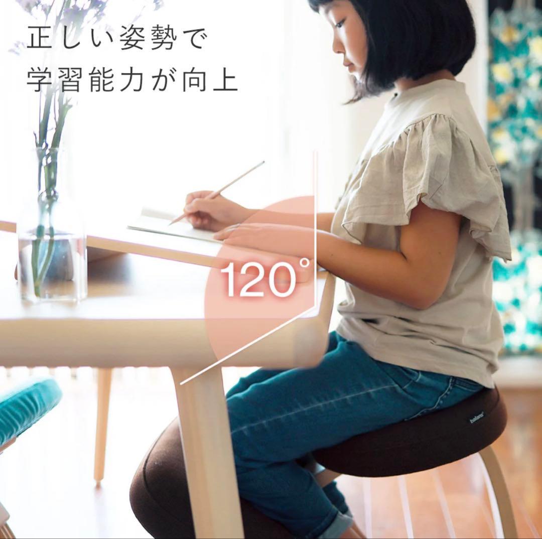 りん 様　Rybo リボ社 Balance Easy バランスイージー チェア