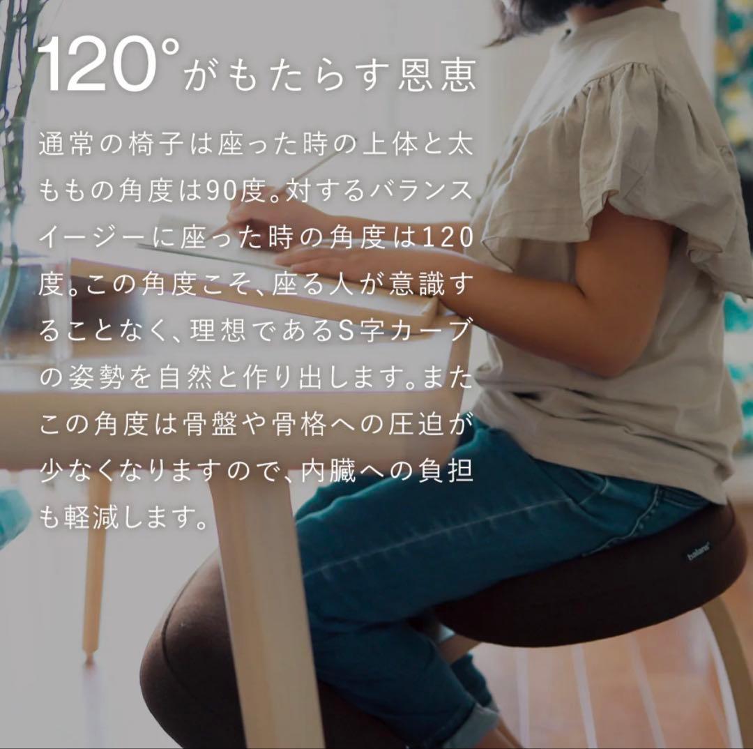 りん 様　Rybo リボ社 Balance Easy バランスイージー チェア