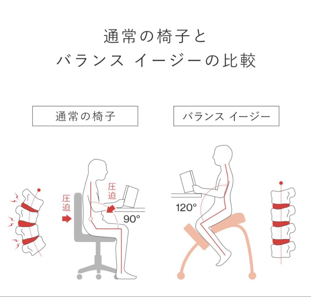 りん 様　Rybo リボ社 Balance Easy バランスイージー チェア