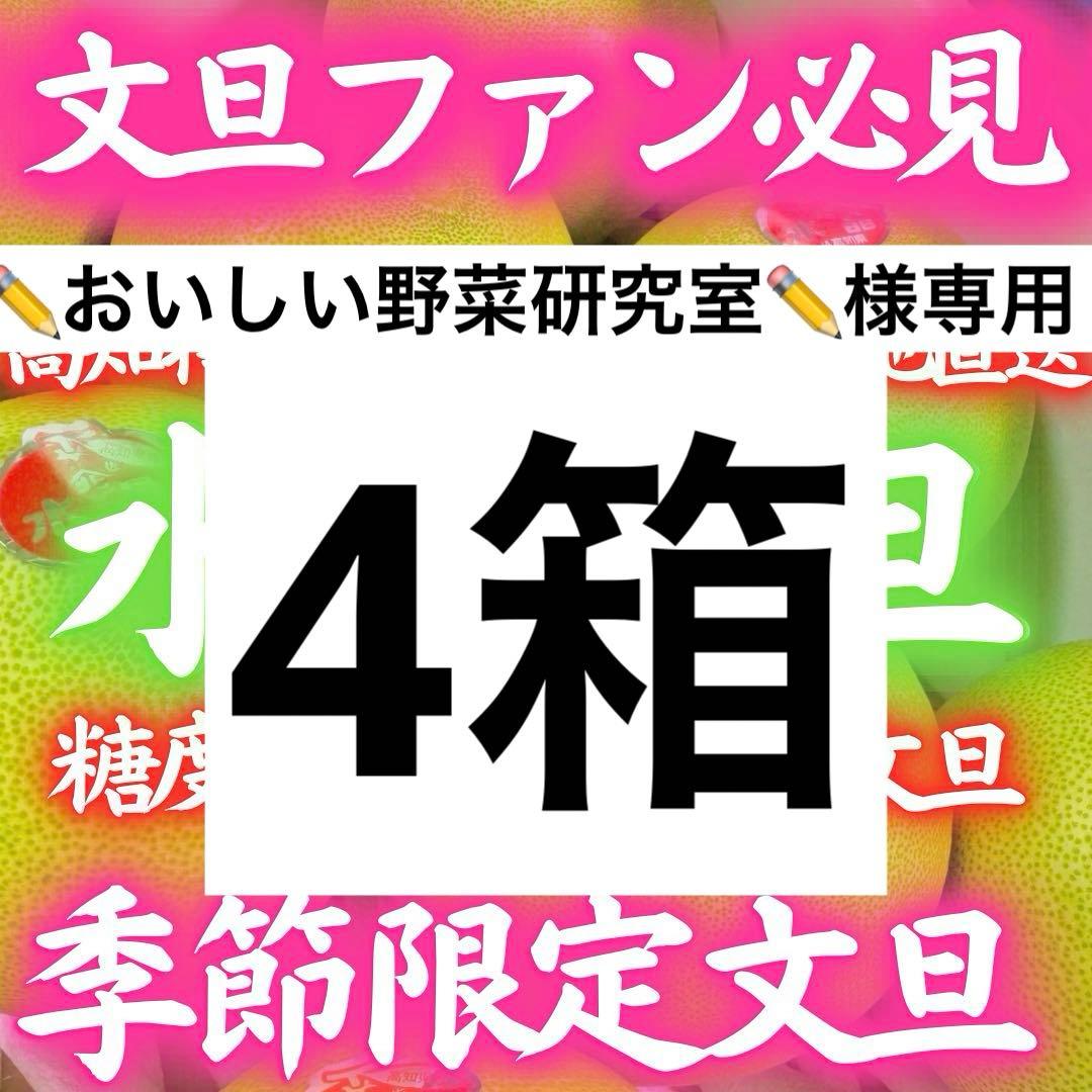 33高知特産 水晶文旦 8～6玉入 約3kg ×4箱文旦 産地直送 送料無料